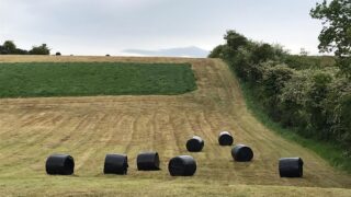 Cutting surplus paddocks – what comes off must be replaced