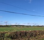 NI National Hedgerow Week to take place next week