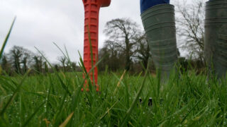 Dairy advice: Keeping ahead of grass to maintain quality