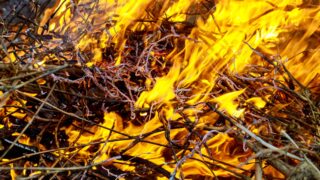 ‘Stop before someone is injured or killed’ – Muir on wildfires