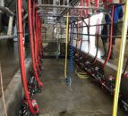 Dairy advice: When should your milk liners be changed?