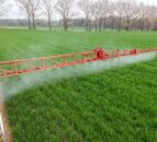 Addressing crop nutrient deficiencies in drought conditions