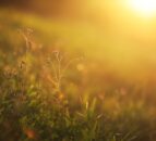 VR mental health study aims to support UK agricultural community
