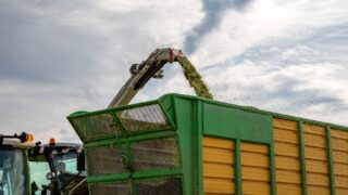 UK report: Farmers advised to assess feed stocks following dry weather spell