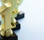 Nominations open for 2025 veterinary wellbeing awards