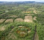 Ulster Wildlife buys 90ac of Fermanagh farmland for nature reserve