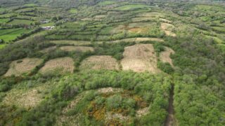 Ulster Wildlife buys 90ac of Fermanagh farmland for nature reserve
