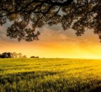 Future of $150bn NZ farm assets depends on succession – report