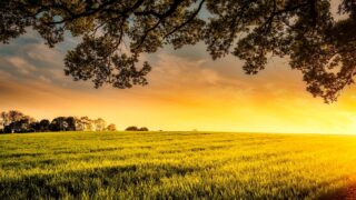 Future of $150bn NZ farm assets depends on succession – report