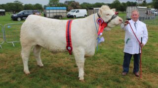 Agri-politics to the fore at Ballymena Show 2025