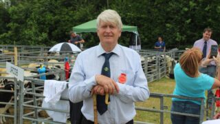 Sheep NI will ‘particularly suit’ visitors from Co. Donegal – NSA
