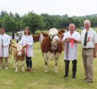 Super Simmental cow carries the day at Saintfield Show