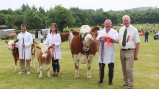Super Simmental cow carries the day at Saintfield Show