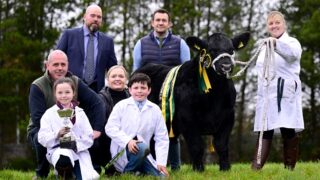 Drumhill Aberdeen Angus to host event marking 150th herd book