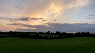 Total income from farming rises by 62.5% in NI in 2024