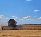 Ukraine: Communities need ‘immediate support’ to produce food