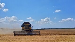 Ukraine: Communities need ‘immediate support’ to produce food