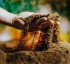 ‘Solid growth’ for Origin Enterprises drives increased revenues