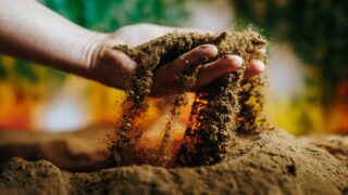 ‘Solid growth’ for Origin Enterprises drives increased revenues