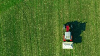 Farming group ‘not ruling out legal action’ over NAP proposals for NI