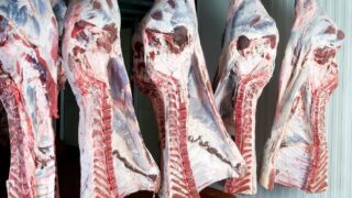 Rabobank: Uncertainty for global beef markets