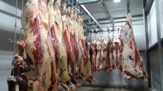 UFU calls for retailers across NI to support local produce