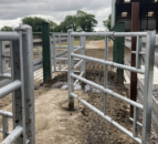 £1bn for UK biosecurity centre to tackle animal diseases