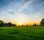 DAERA: Funding available for sustainability research in NI