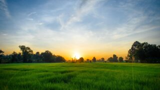 DAERA: Funding available for sustainability research in NI