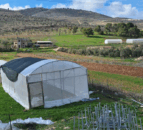 Sky’s the limit for a West Bank land and farming co-op