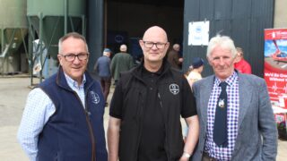 Ulster Wool Group: ‘Significant increase’ in fleece deliveries expected