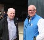 Discussions on bespoke NI sheep support package to continue