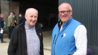 Discussions on bespoke NI sheep support package to continue