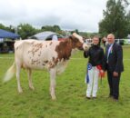 Improved genetics ‘delivering across all aspects’ of NI dairy sector – breeder