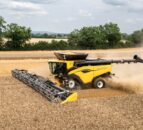 Premium price for NI grains could ‘link in with farm QA schemes’ – grower
