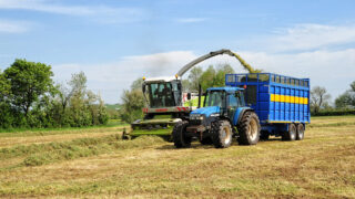 Complete a fodder budget as second-cut silage gets underway