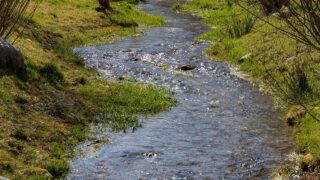 Consultation opens on fourth NI River Basin Management Plan
