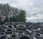 Dairy advice: Understanding silage test results