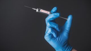 DAERA approves voluntary BTV-3 vaccine in NI