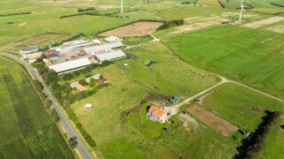 Securing the future of Danish dairy farm after bankruptcy