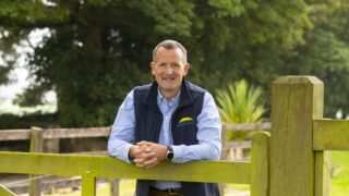 Dawn Meats seeks majority share of NZ’s largest lamb processor