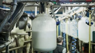 Annual global milk supply now forecast to grow by 1.4% – Ornua