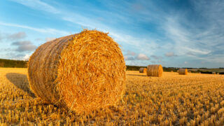 PDA: Dry season will impact on potash offtakes