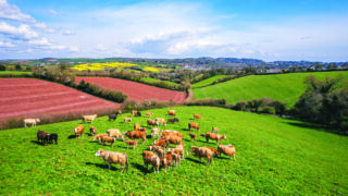 UK agri-food charity body aims to ‘unlock potential’ with new strategy
