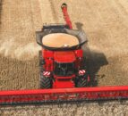 Scottish govt publishes first cereal production estimates for harvest 2025