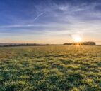 Defra allocates £500 million for Landscape Recovery scheme