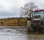 Silage samples from 2025 show 'mixed results' - ForFarmers