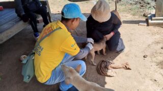 Daughter of woman who died from rabies after dog scratch in vaccination plea