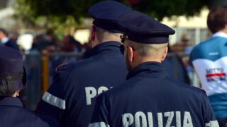 Italy: Culprits caught after livestock fraud involving 115 Irish cattle