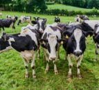 Bold solutions for agri sector discussed at Methane Connect